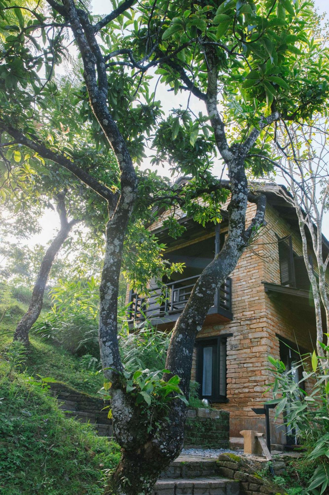 Tiger Mountain Pokhara Lodge Exterior foto